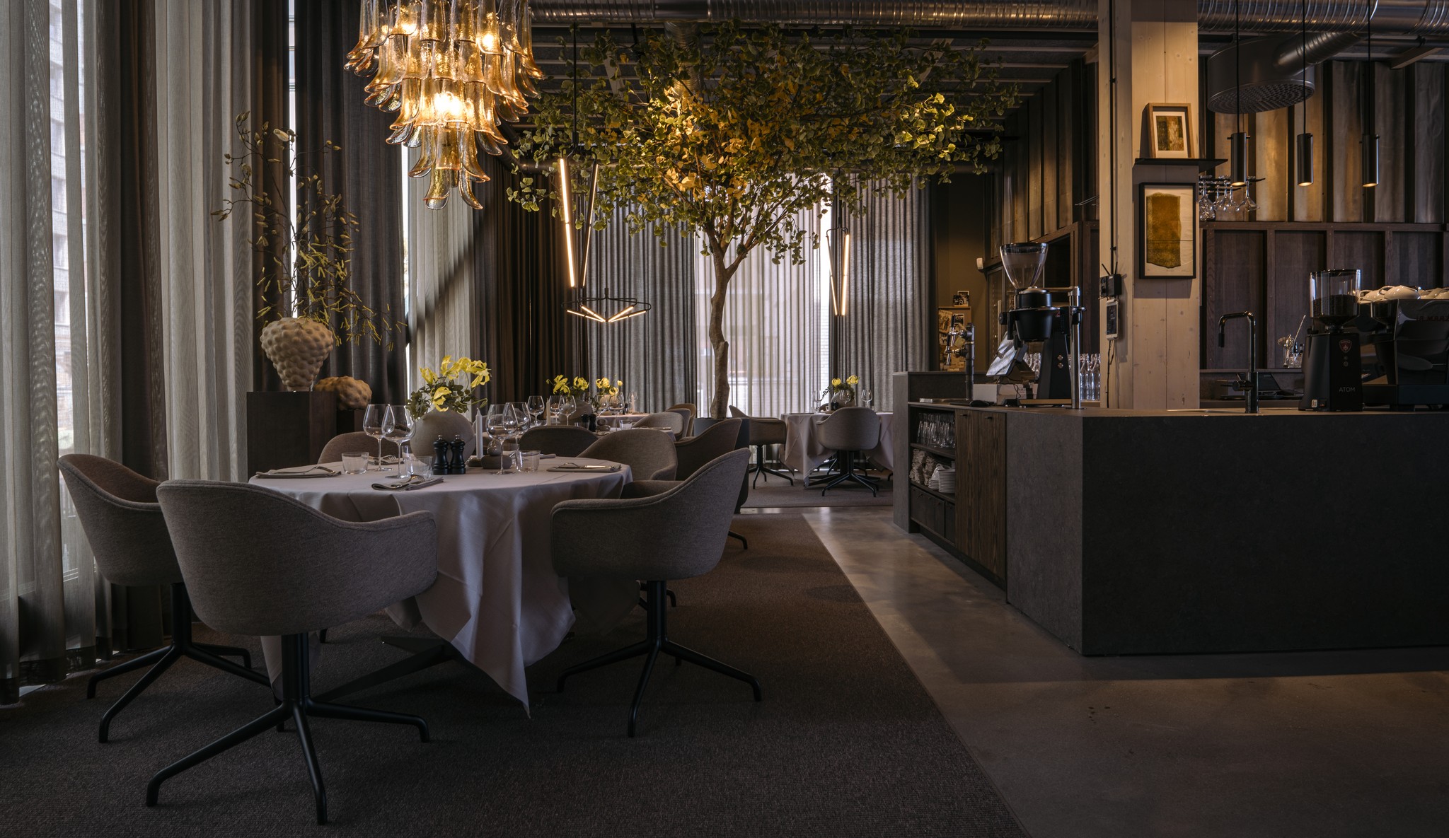 audo-harbour-dining-star-2