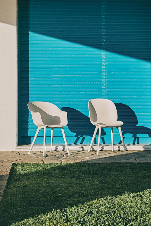 beetle-bat-outdoor-vocastimage