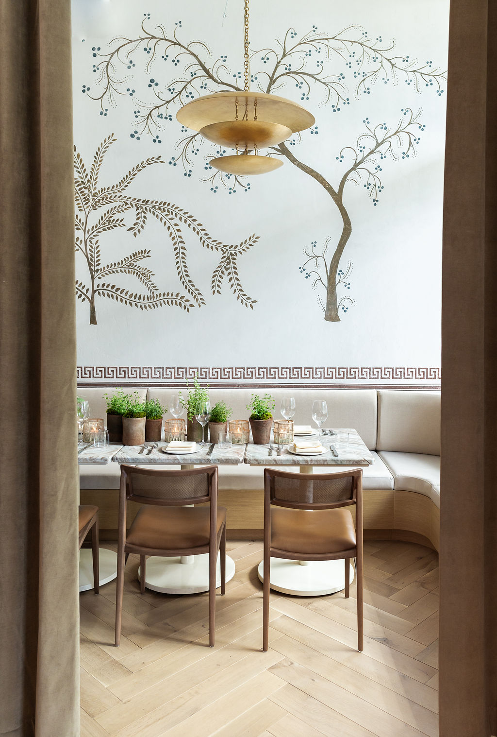 copy-of-predalina-89