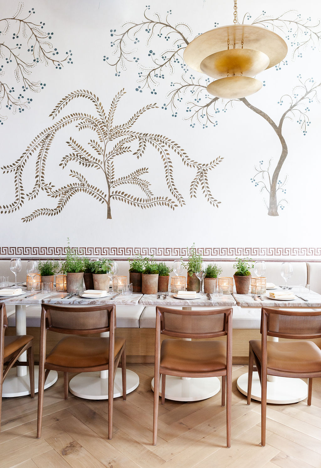 copy-of-predalina-95