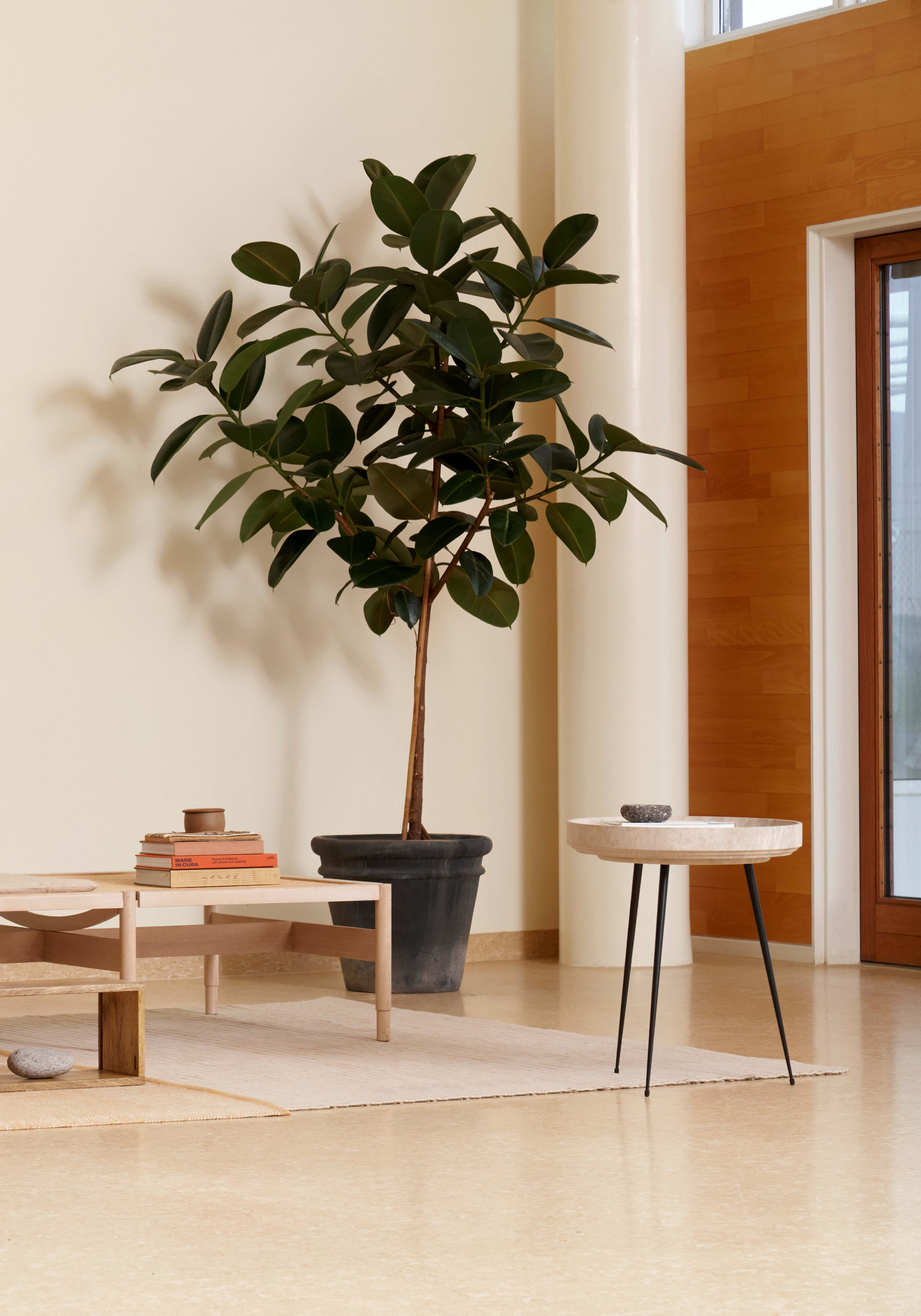 mater-bowl-table-waste-edition-instagramportrait-3