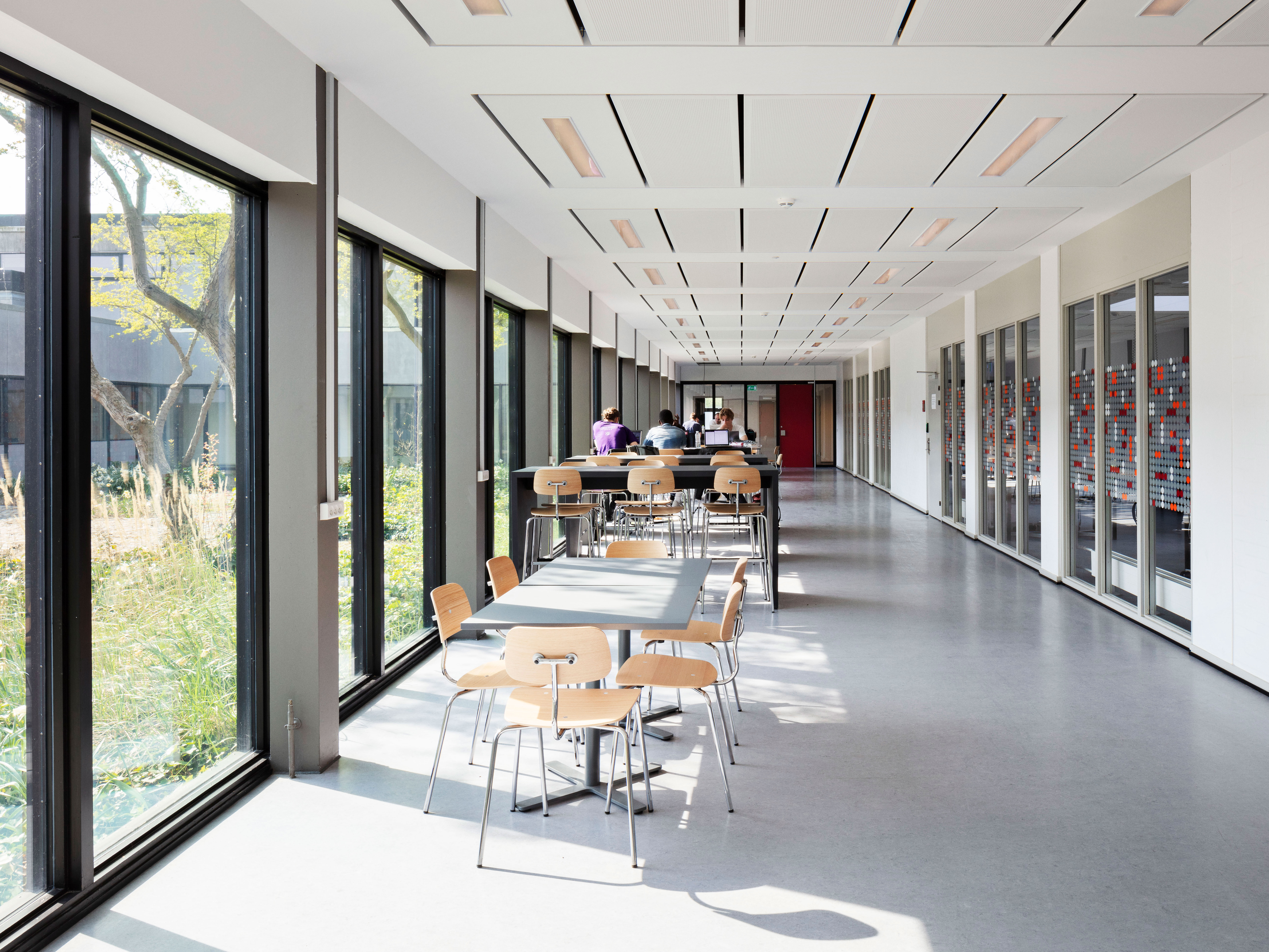 montana-kevi-dtu-w-3