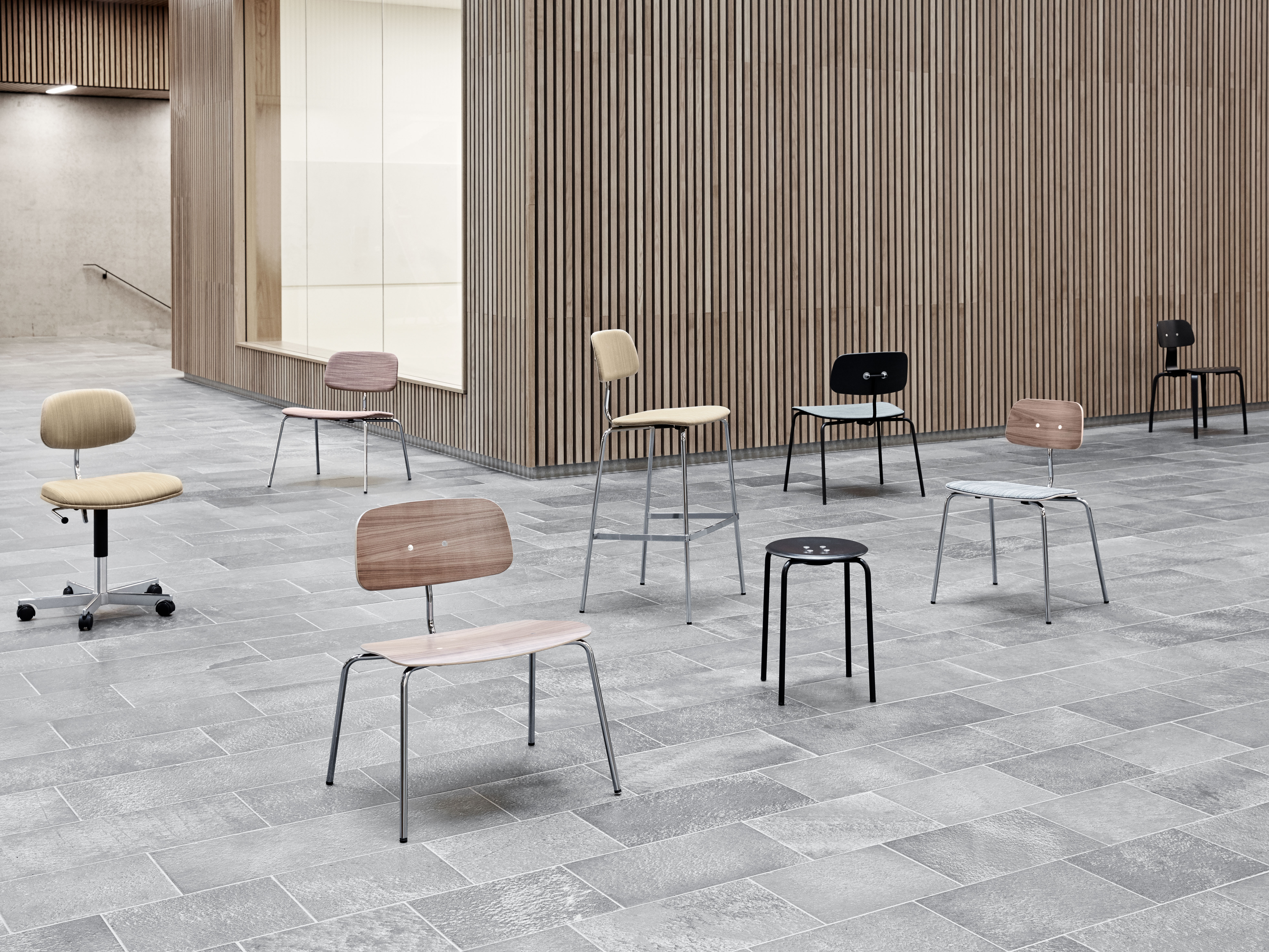 montana-kevi-series-1768935411