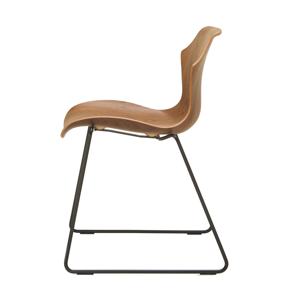 Petal Dining Chair